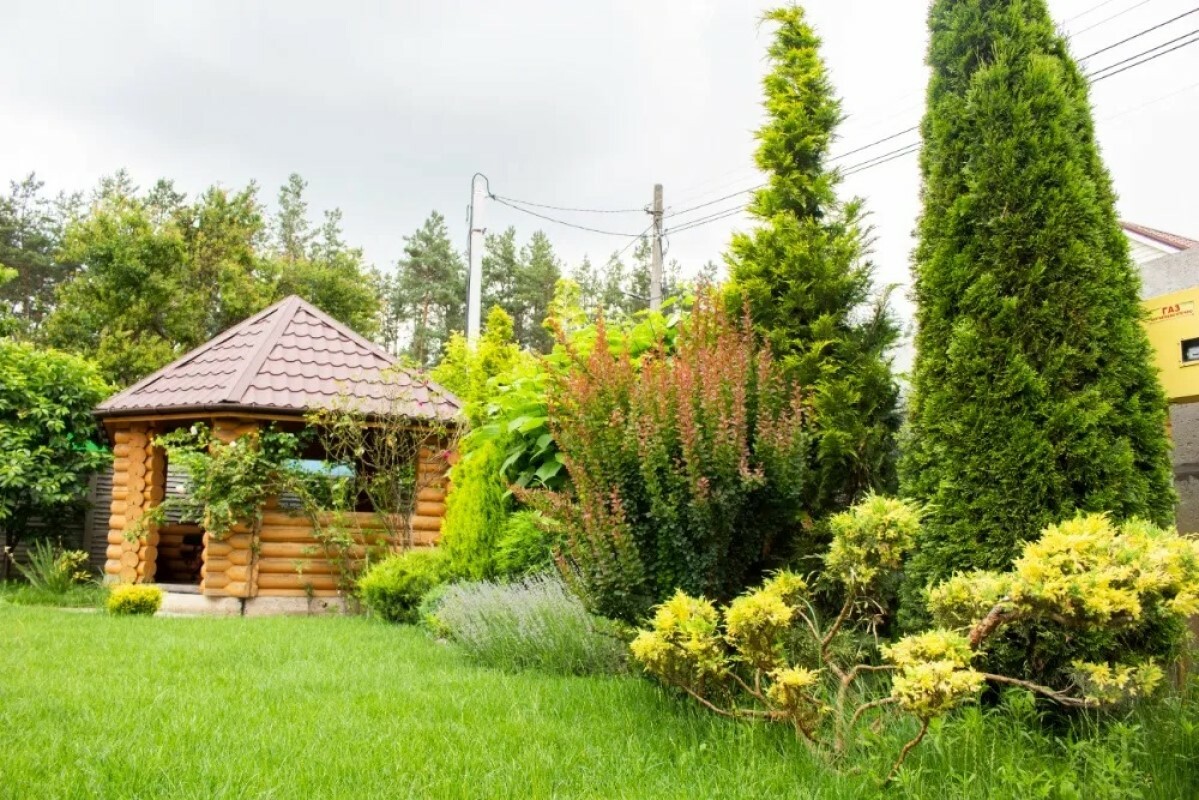 https://pervouralsk.tgv-stroy.ru/storage/app/uploads/public/637/ef4/fb3/637ef4fb3605f391429275.png